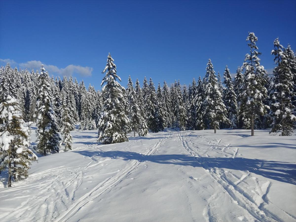 Villa Pokljuka Zgornje Gorje Buitenkant foto