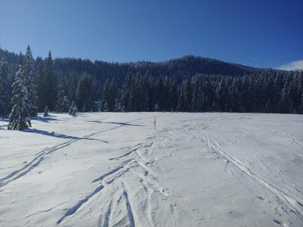 Villa Pokljuka Zgornje Gorje Buitenkant foto