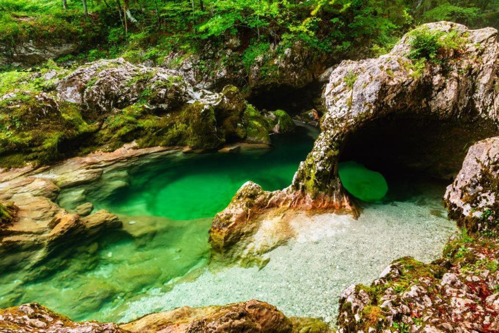 Villa Pokljuka Zgornje Gorje Buitenkant foto