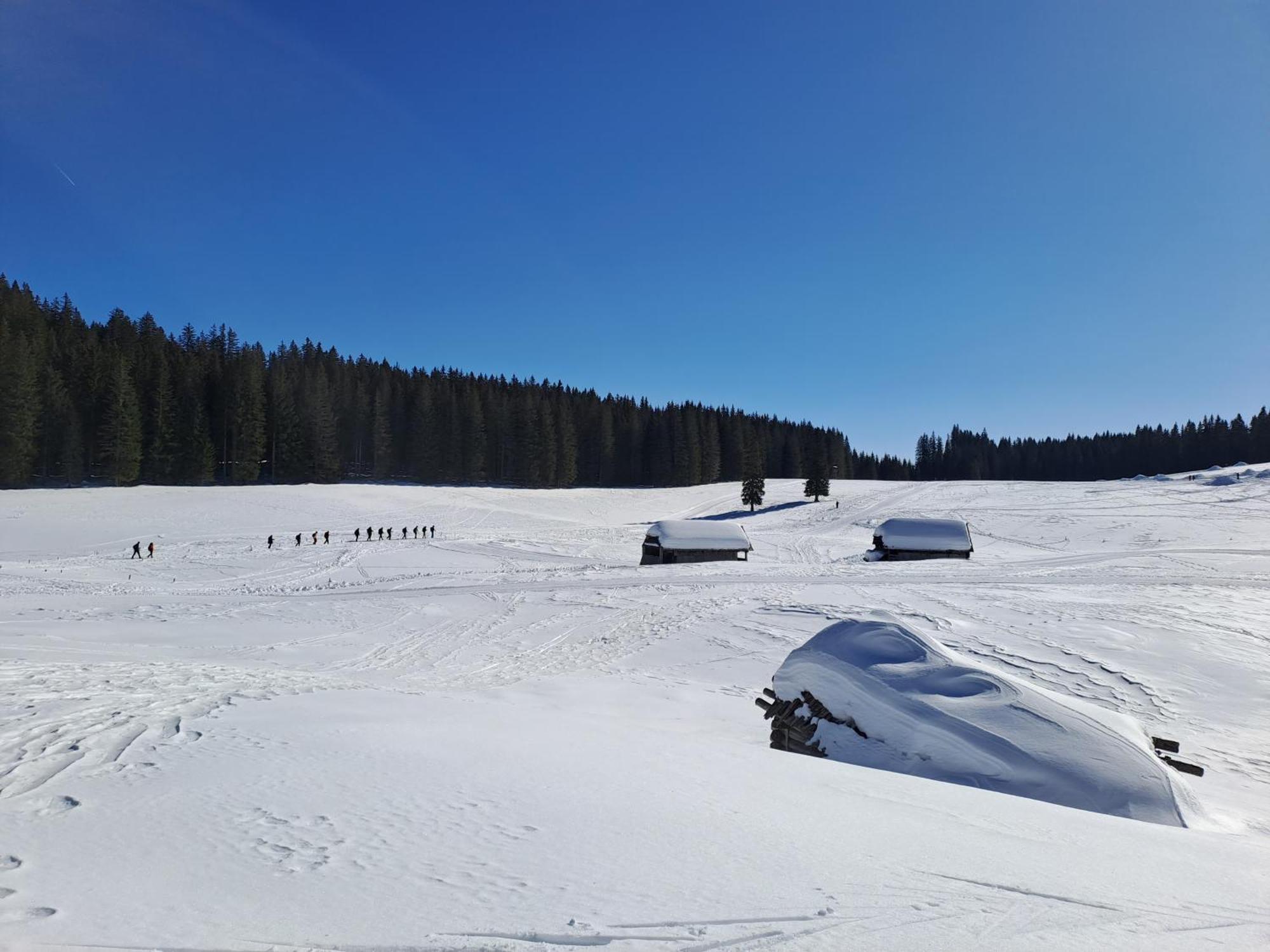 Villa Pokljuka Zgornje Gorje Buitenkant foto