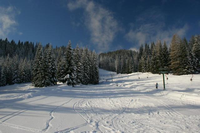 Villa Pokljuka Zgornje Gorje Buitenkant foto