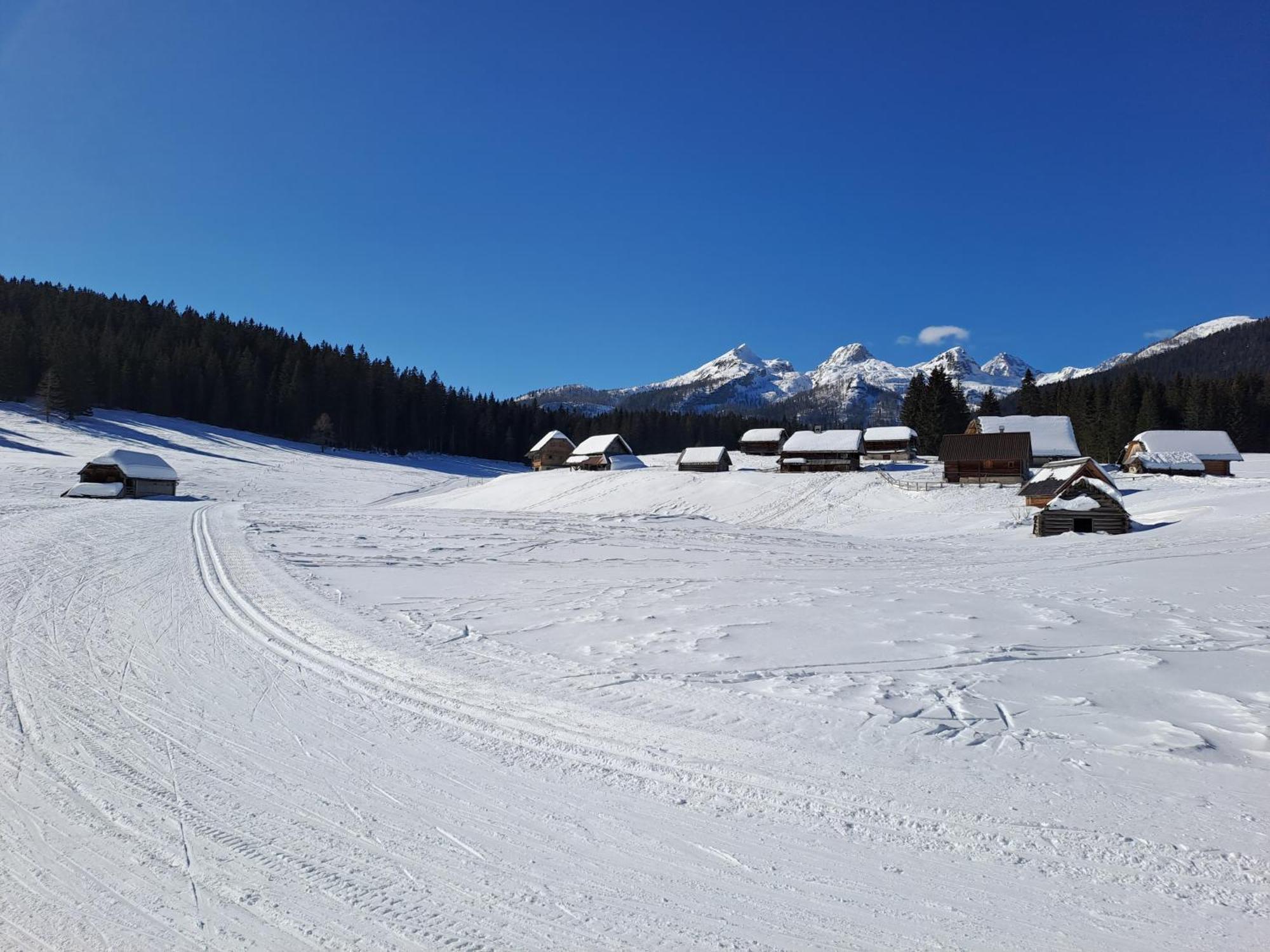 Villa Pokljuka Zgornje Gorje Buitenkant foto