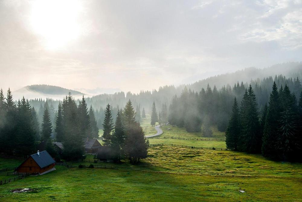 Villa Pokljuka Zgornje Gorje Buitenkant foto