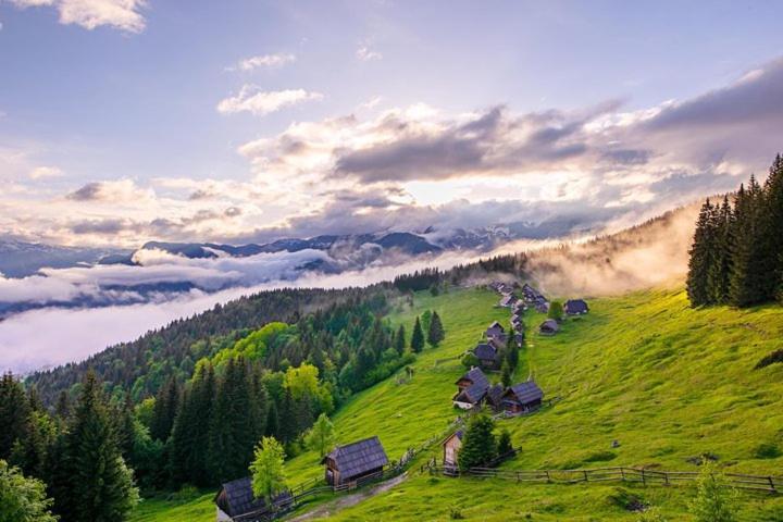 Villa Pokljuka Zgornje Gorje Buitenkant foto