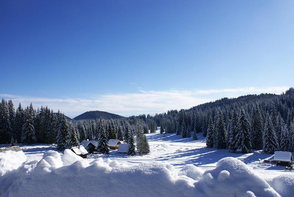 Villa Pokljuka Zgornje Gorje Buitenkant foto