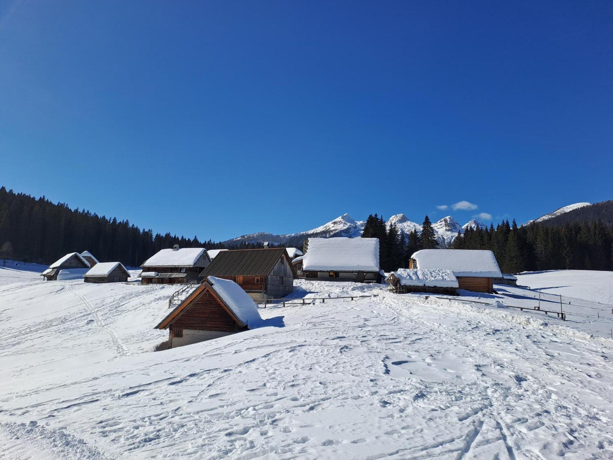 Villa Pokljuka Zgornje Gorje Buitenkant foto